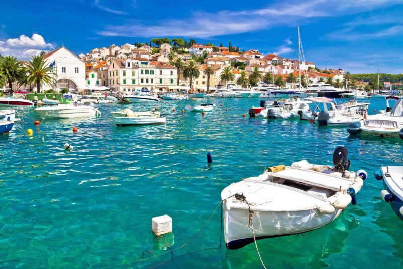 Blue Dalmatia